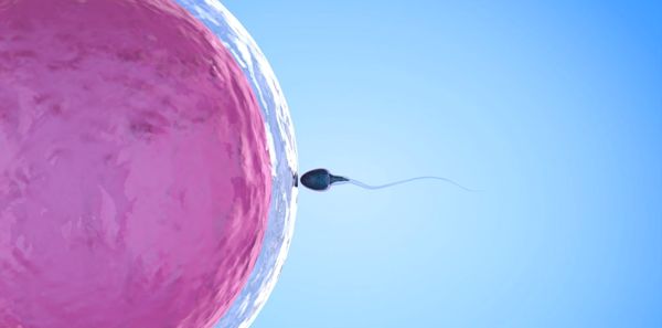 sperm dyo portal