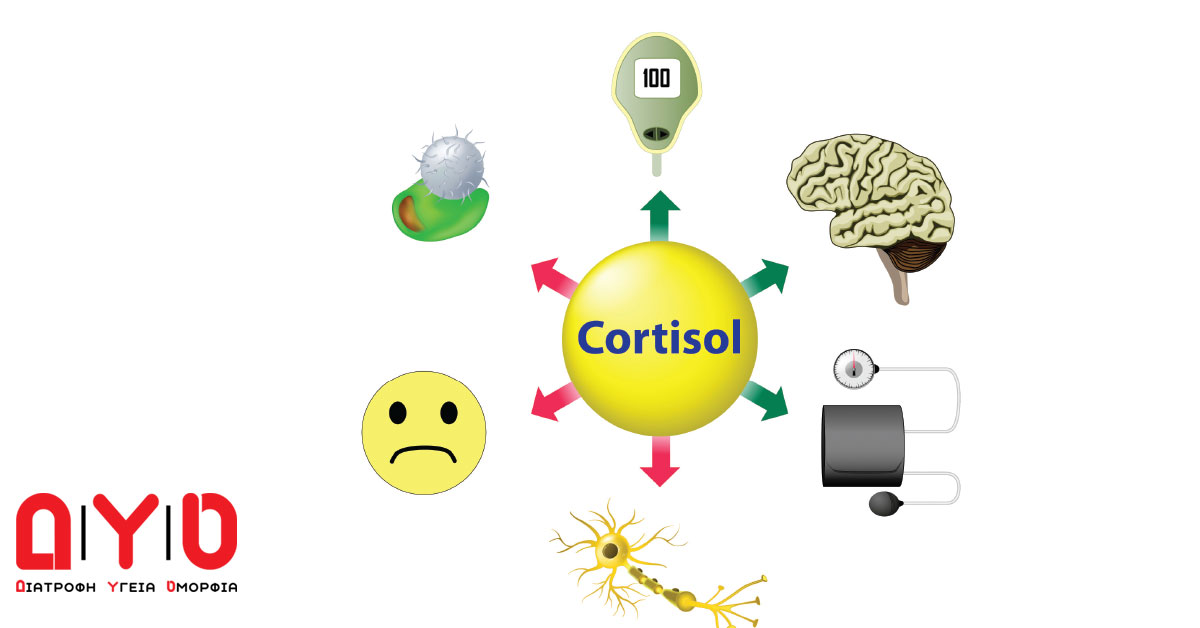 cortisol stress immune system