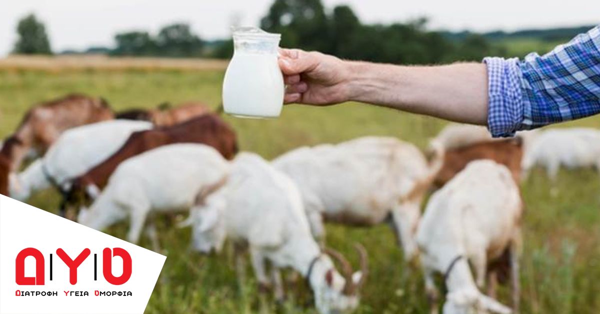 Εσείς γνωρίζετε ότι το σαπούνι με κατσικίσιο γάλα έχει πολλαπλά οφέλη για την επιδερμίδα σας;
