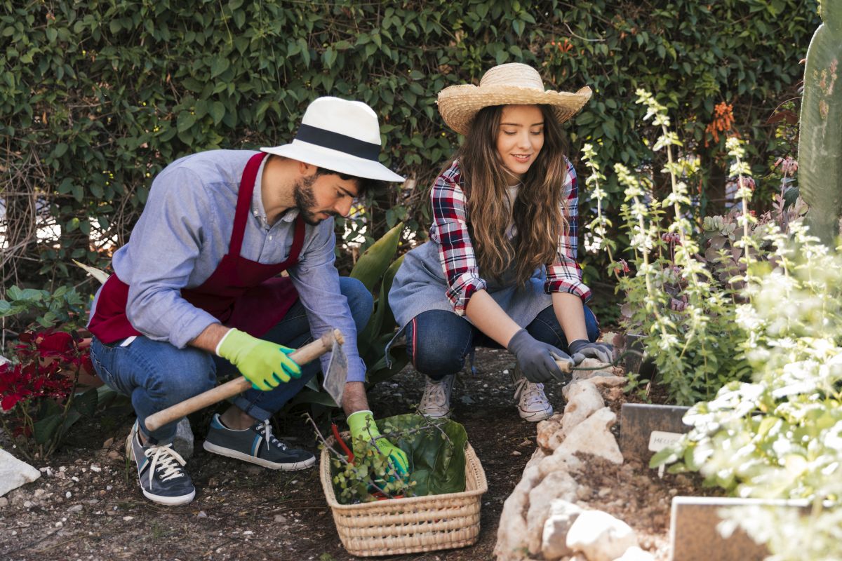 male-female-gardener-working-together-garden